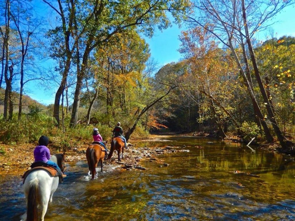 where can I ride horses in nashville? horseback riding date ideas