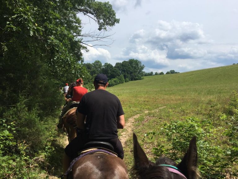 where can I ride horses in nashville? horseback riding date ideas